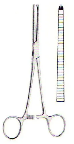 cls-med20260710175506649982