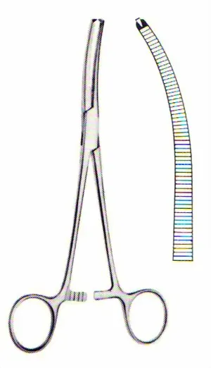 cls-med20260710175546650129