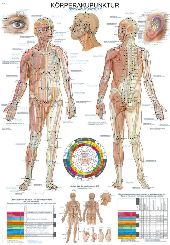 cls-med20260710194143673598