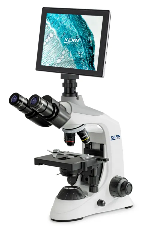 cls-med20260710200824678830