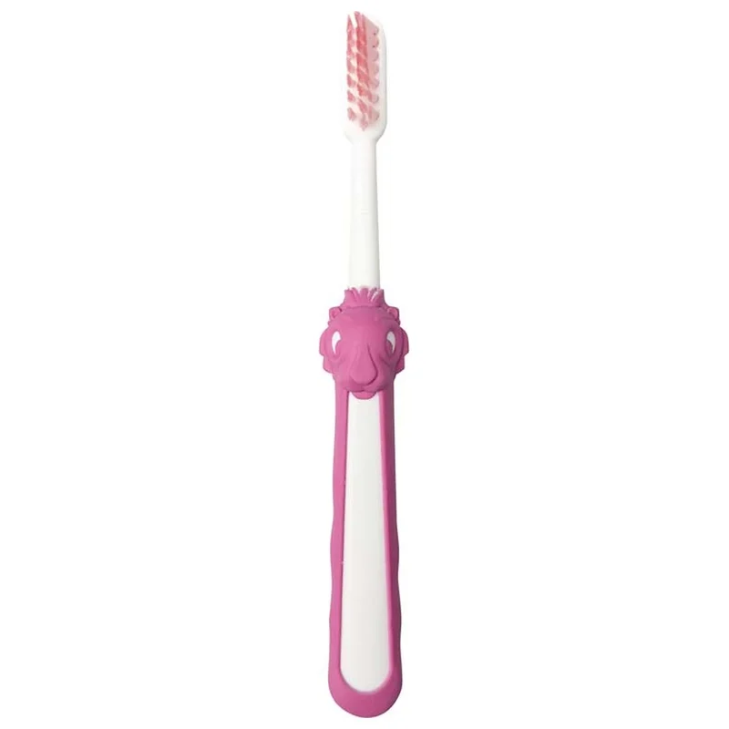 denta-tec-120260710210125688601