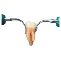 denta-tec-120260710210214688738