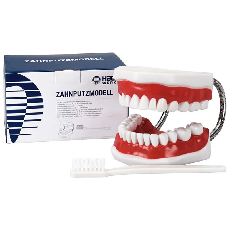 denta-tec-120260710210856689775
