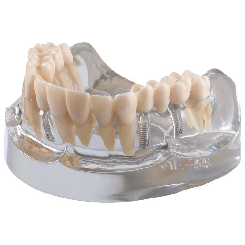 denta-tec-120260710212222691955