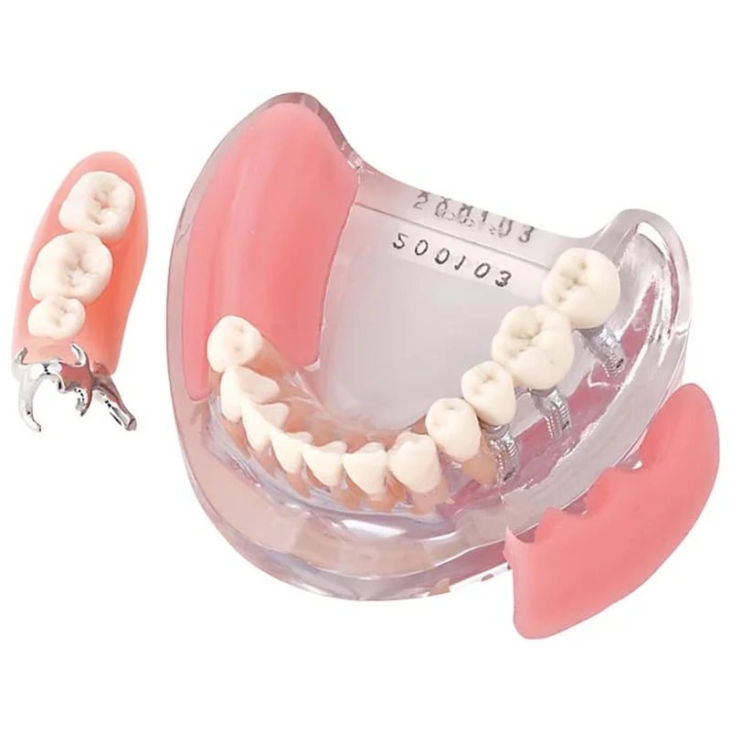 denta-tec-120260710212229691978