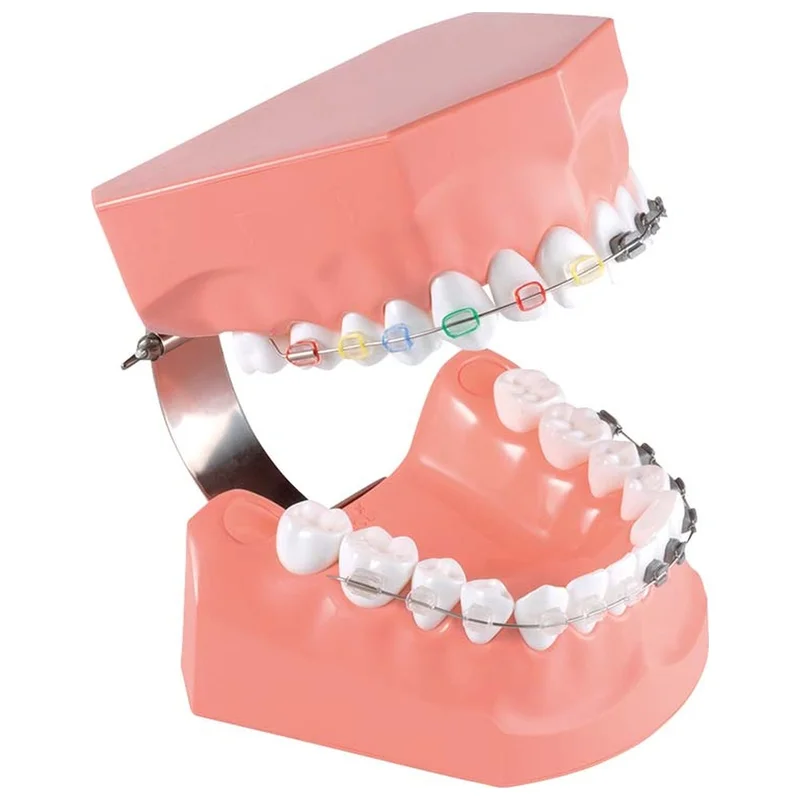 denta-tec-120260710212242692018