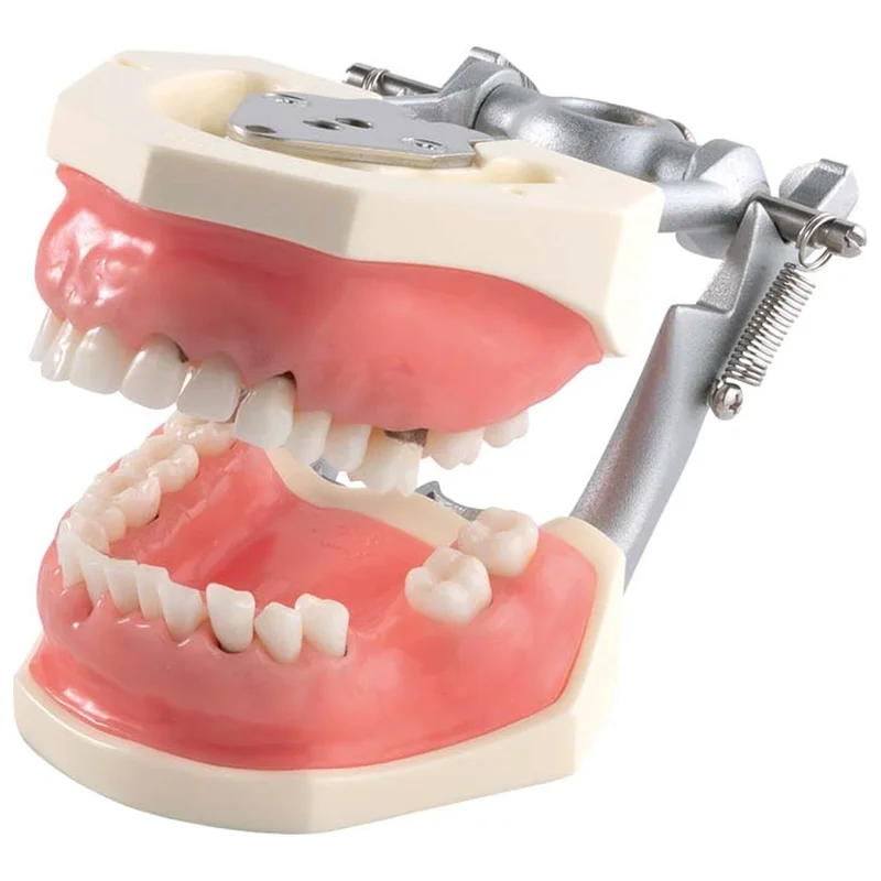 denta-tec-120260710212255692059