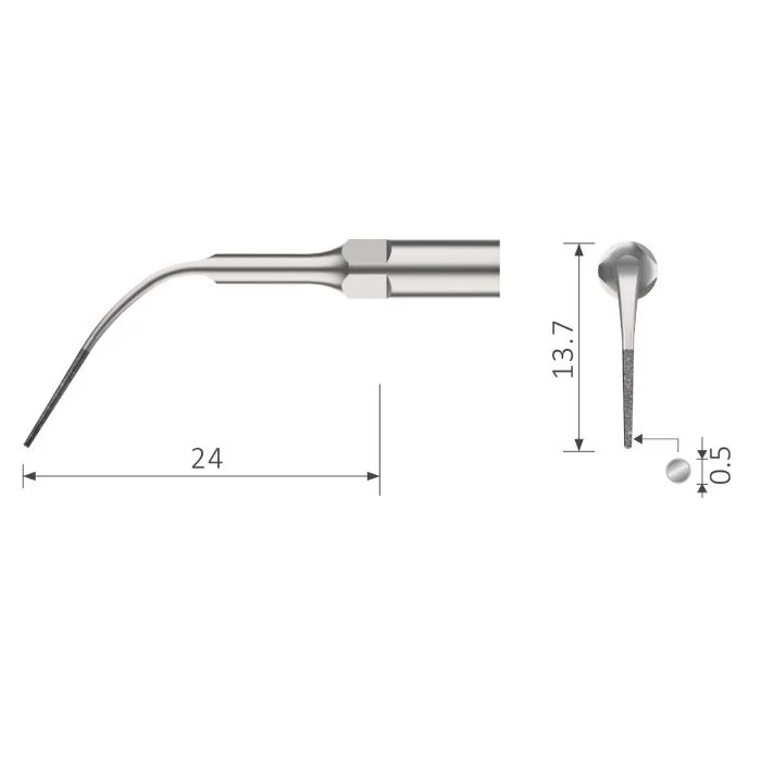denta-tec-120260710214246695344