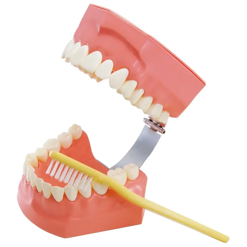 denta-tec-120260710224412706143