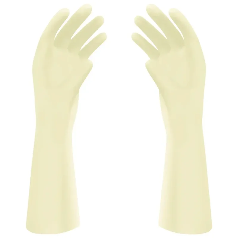 denta-tec-120260710224423706177