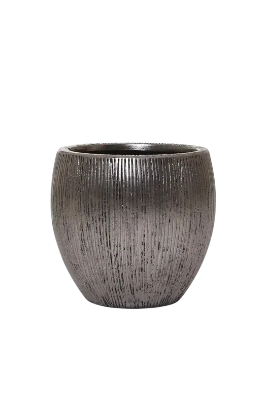 denta-tec-120260710234456716406