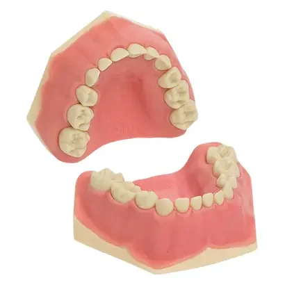 denta-tec-120260711000820720623