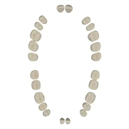 denta-tec-120260711000838720672