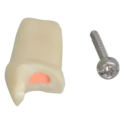 denta-tec-120260711000851720709