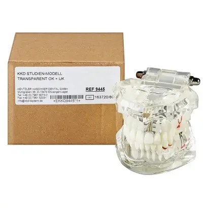denta-tec-120260711000932720839