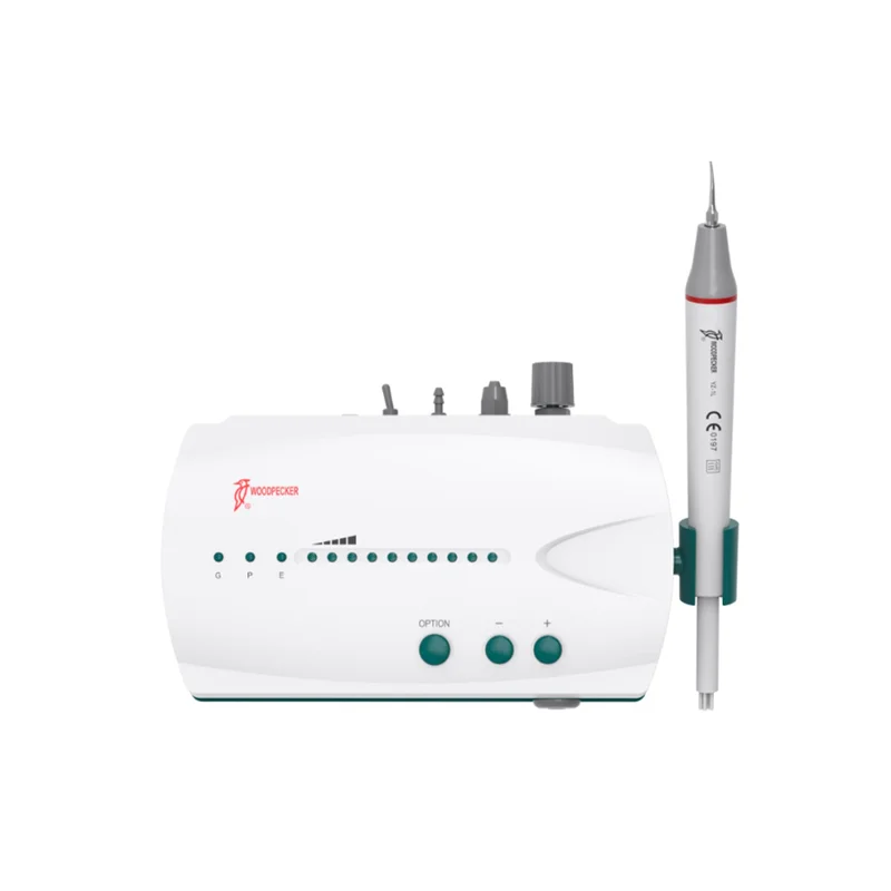denta-tec-120260711023911745326