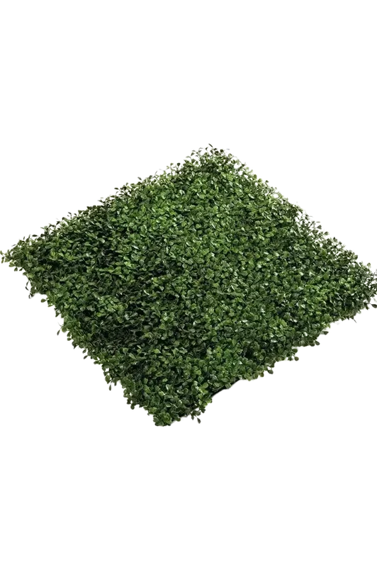 denta-tec-120260711030420746728