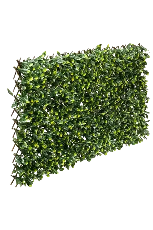 denta-tec-120260711030428746750