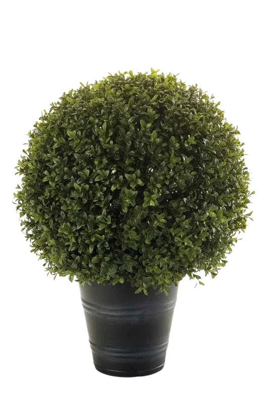 denta-tec-120260711033136749741