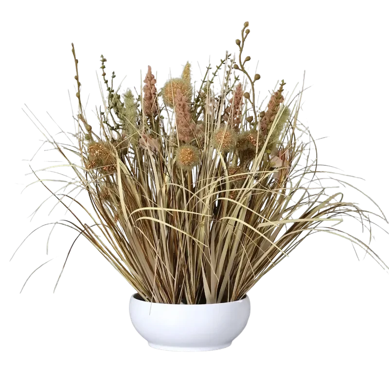 denta-tec-120260711033350750042