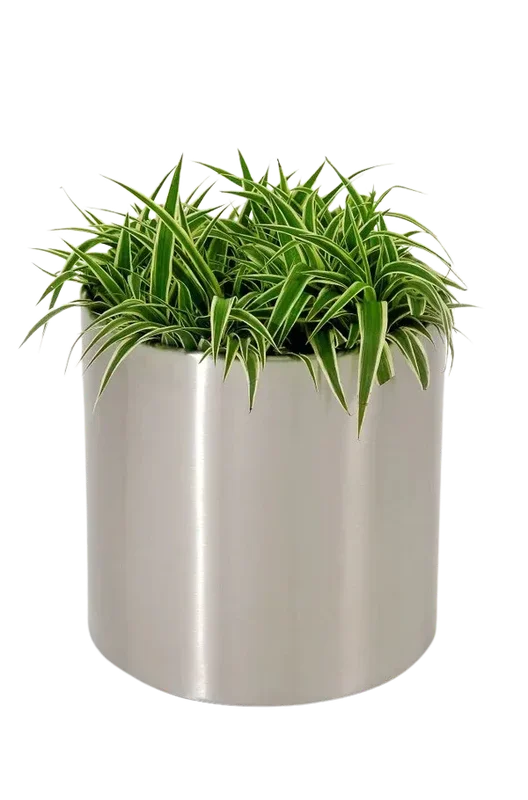 denta-tec-120260711033554750317