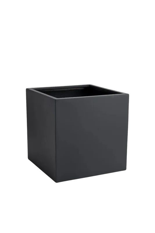 denta-tec-120260711033610750349