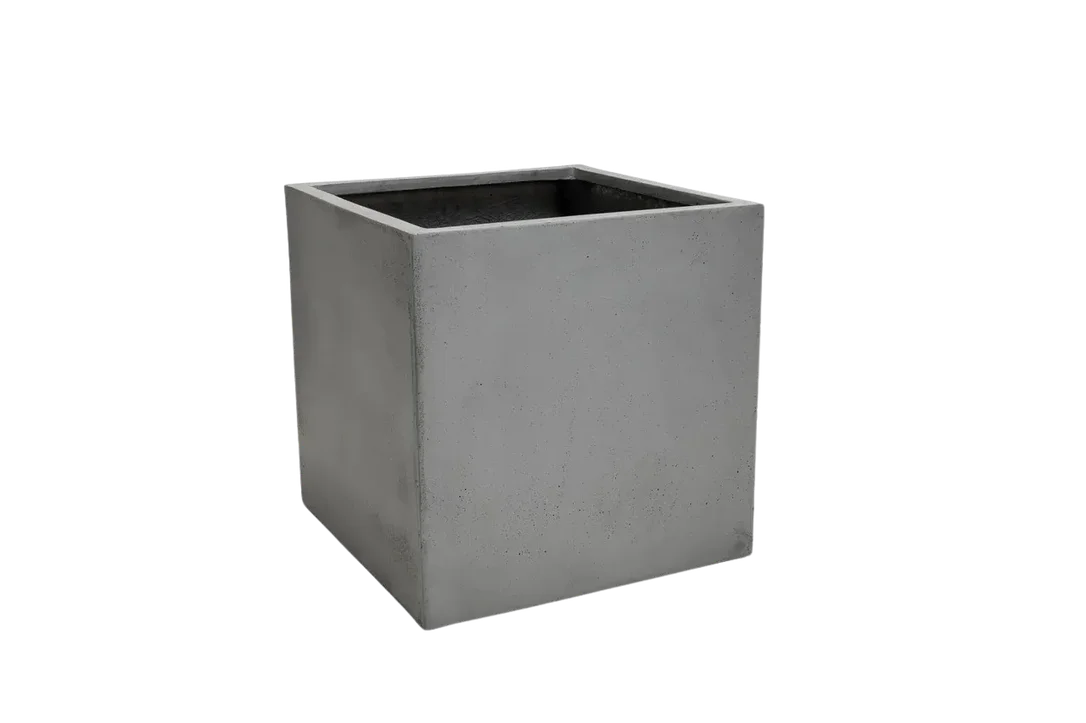 denta-tec-120260711033632750398