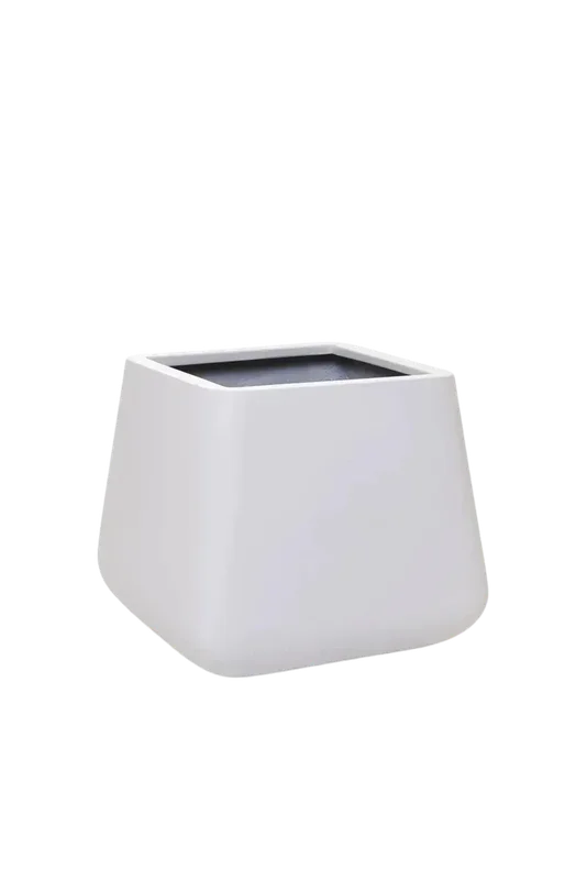 denta-tec-120260711033646750431