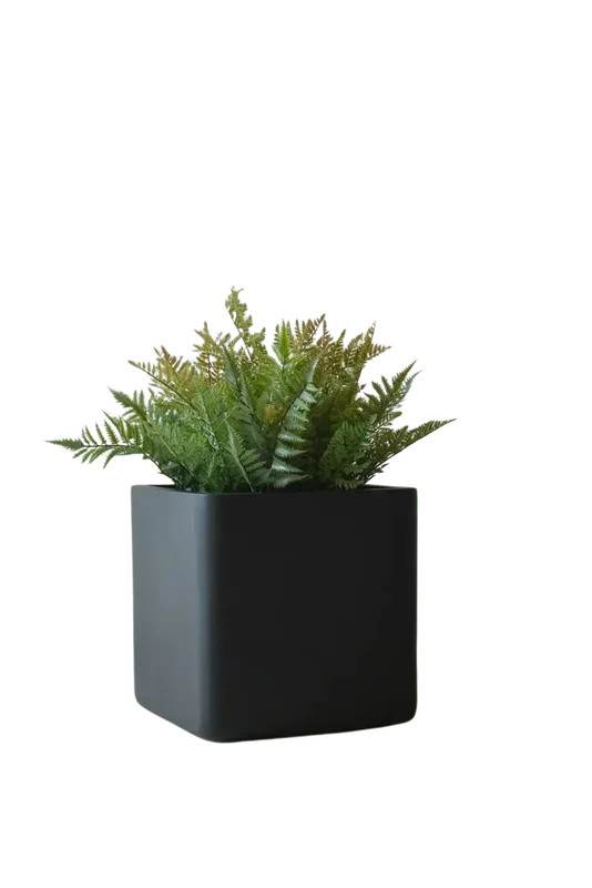 denta-tec-120260711033651750442