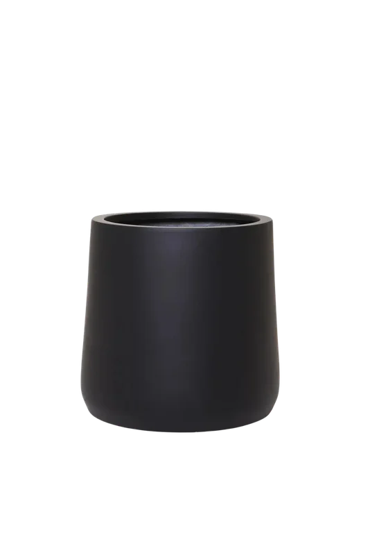 denta-tec-120260711033800750581