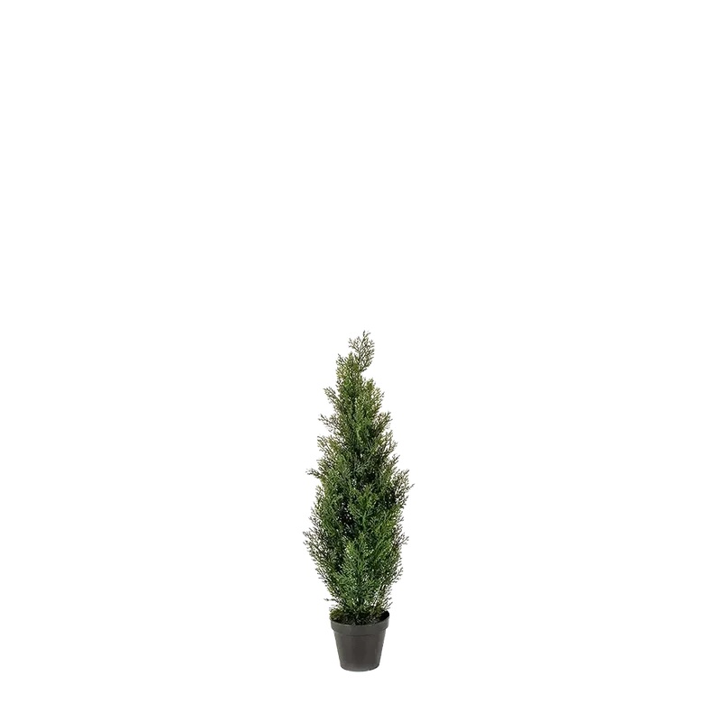 denta-tec-120260711034357751235