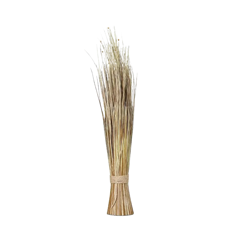 denta-tec-120260711034753751680