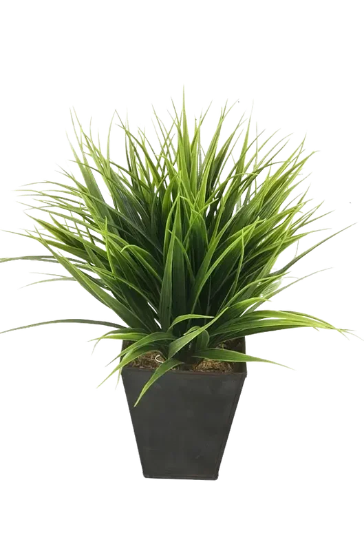 denta-tec-120260711034808751709