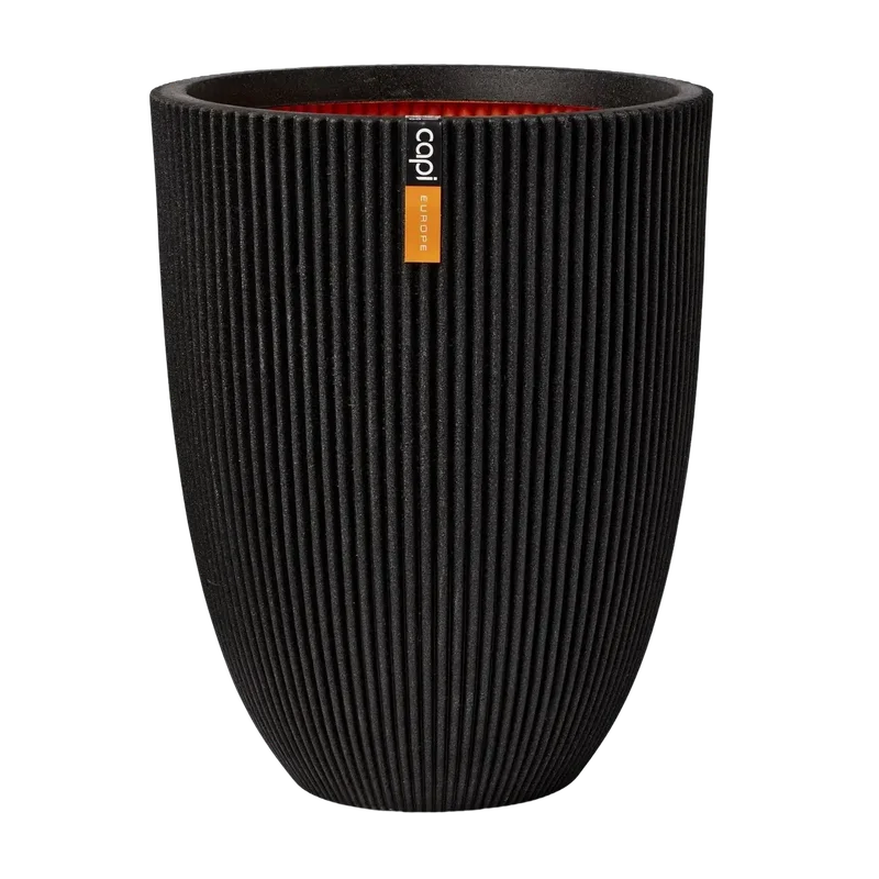 denta-tec-120260711035328752293