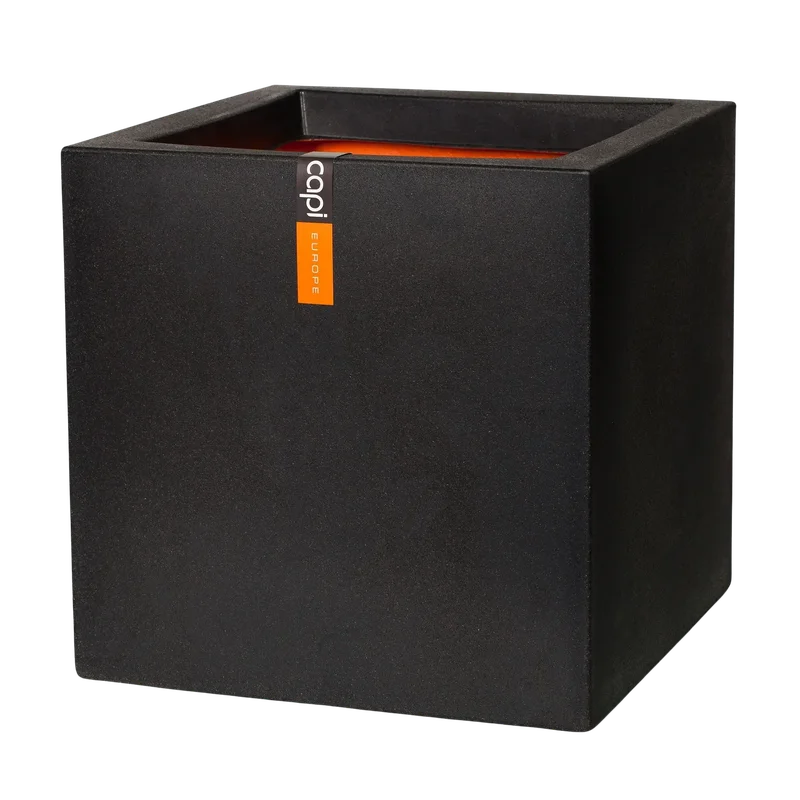 denta-tec-120260711035333752304