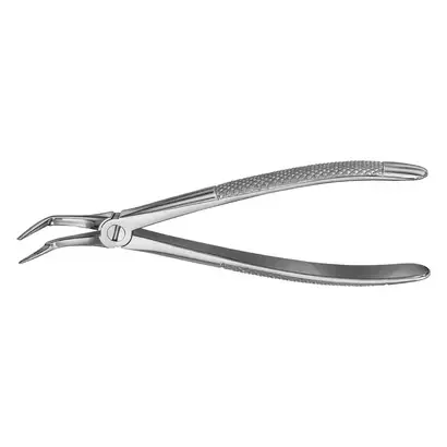 denta-tec-120260711040017753174
