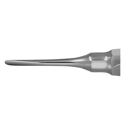 denta-tec-120260711040035753219
