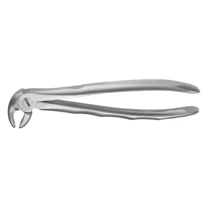 denta-tec-120260711040431753870