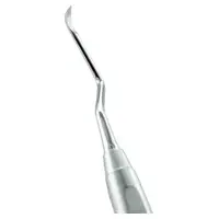 denta-tec-120260711052608767906