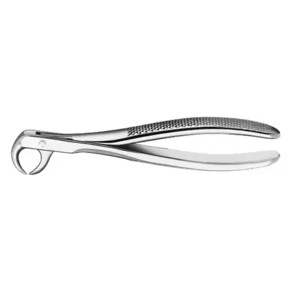 denta-tec-120260711054145770126