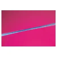 denta-tec-120260711054918771277