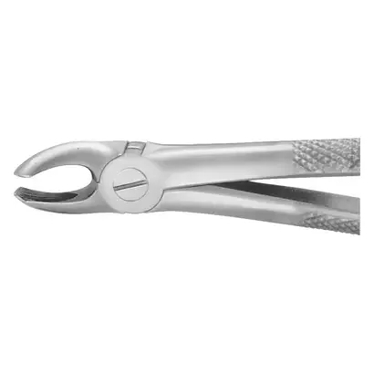 denta-tec-120260711055736772532