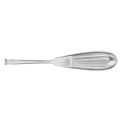 denta-tec-120260711055803772606