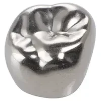 denta-tec-120260711062153776220