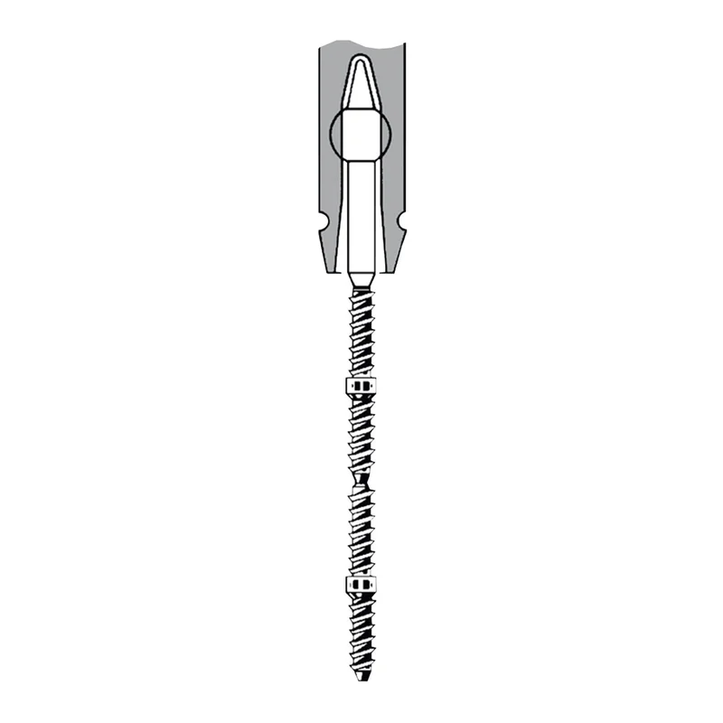 denta-tec-120260711082241791340