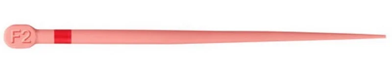 denta-tec-120260711103247806932