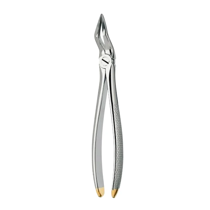 denta-tec-120260711112417813452
