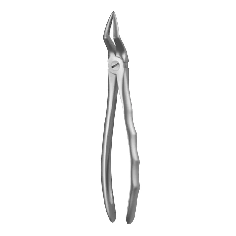 denta-tec-120260711114855816769