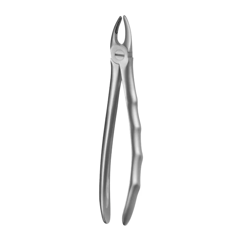 denta-tec-120260711114922816836