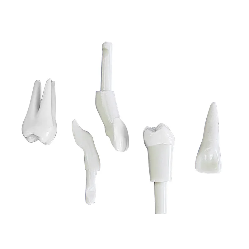 denta-tec-120260711132913829815